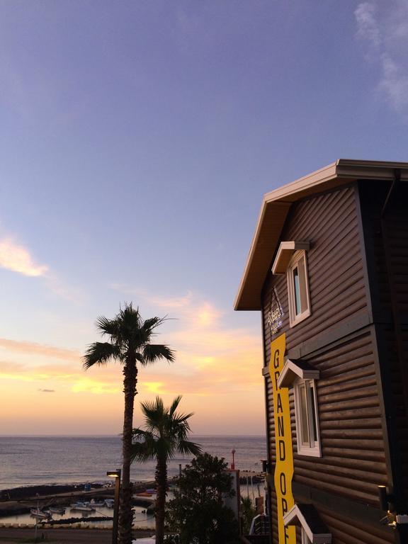 แอมเบอร์ เฮ้าส์ เชจู Villa Haga-ri  ภายนอก รูปภาพ