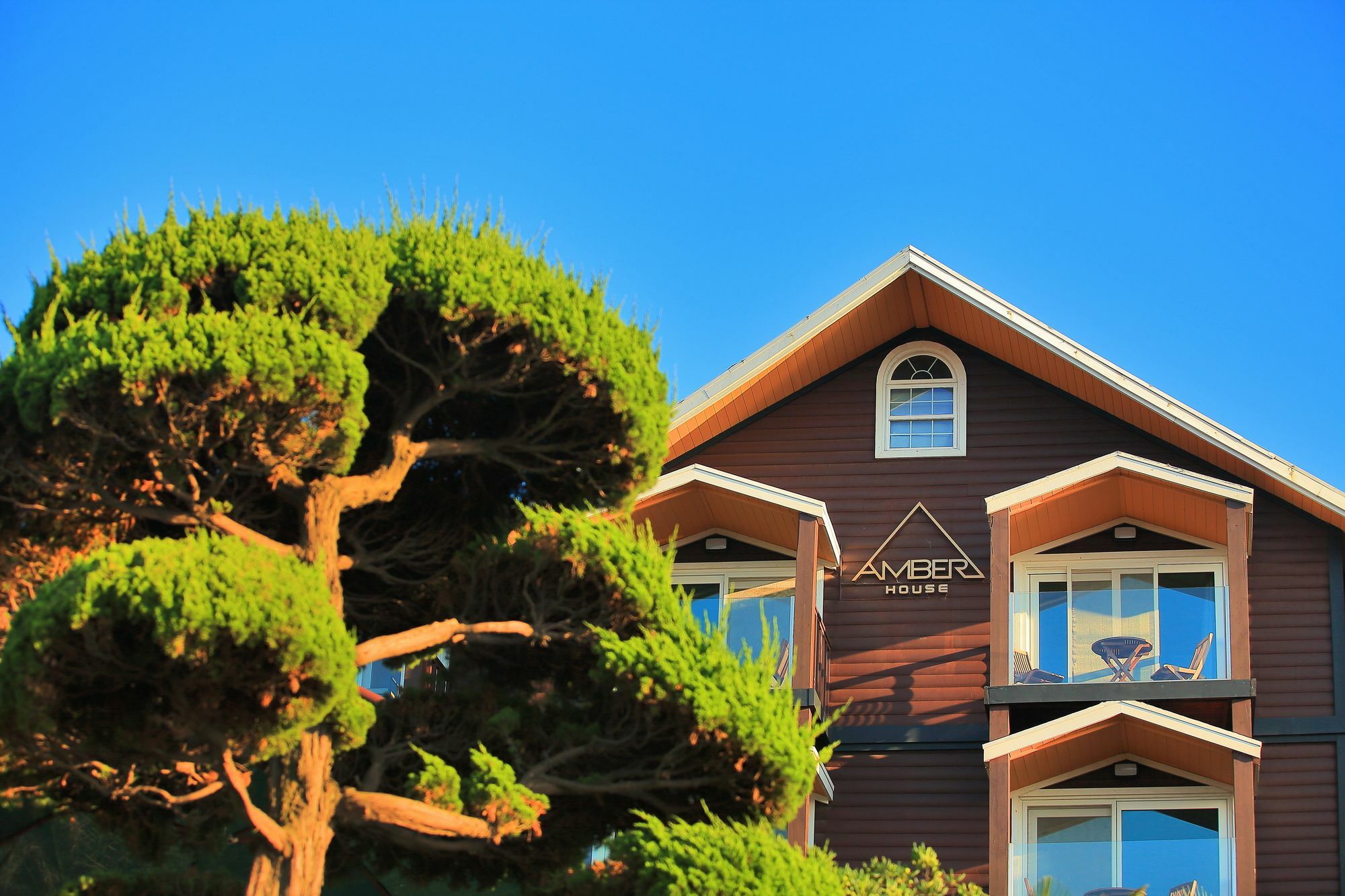 แอมเบอร์ เฮ้าส์ เชจู Villa Haga-ri  ภายนอก รูปภาพ